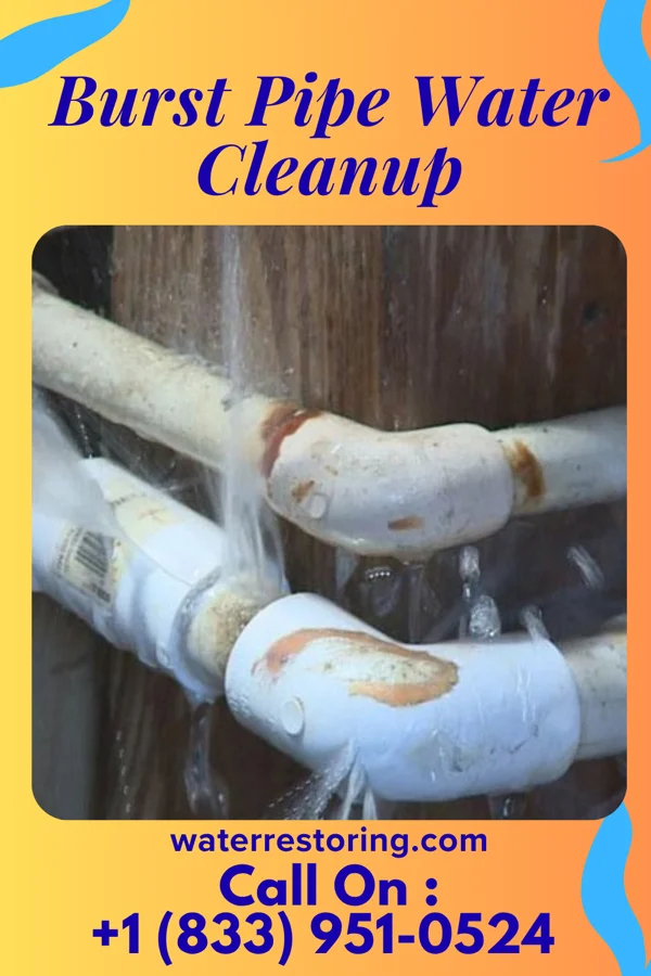 Burst Pipe Water Cleanup in Beverly, OH