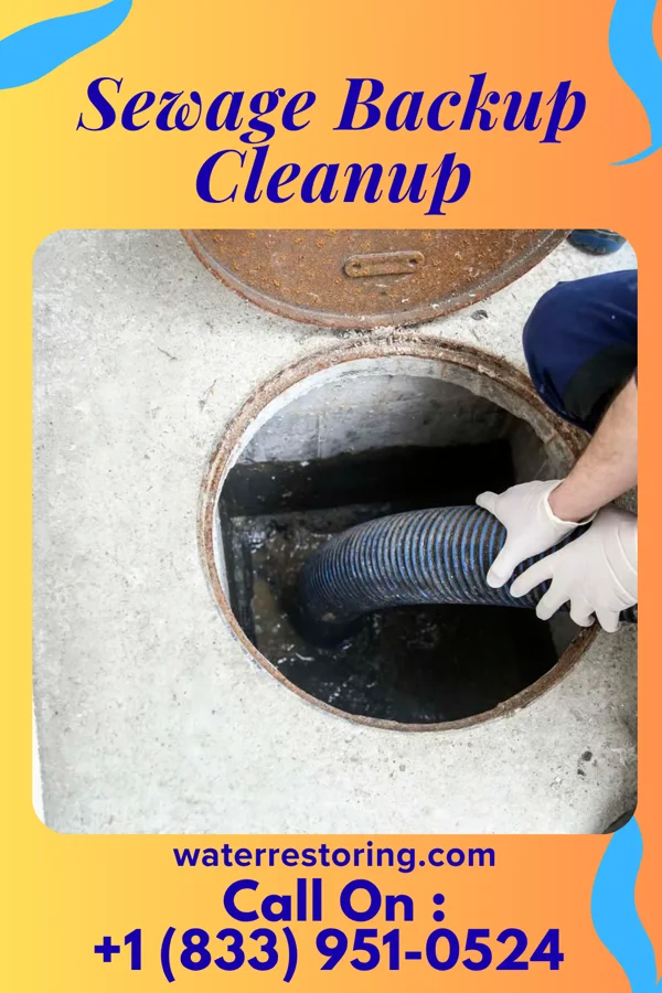Sewage Backup Cleanup in Beverly, OH