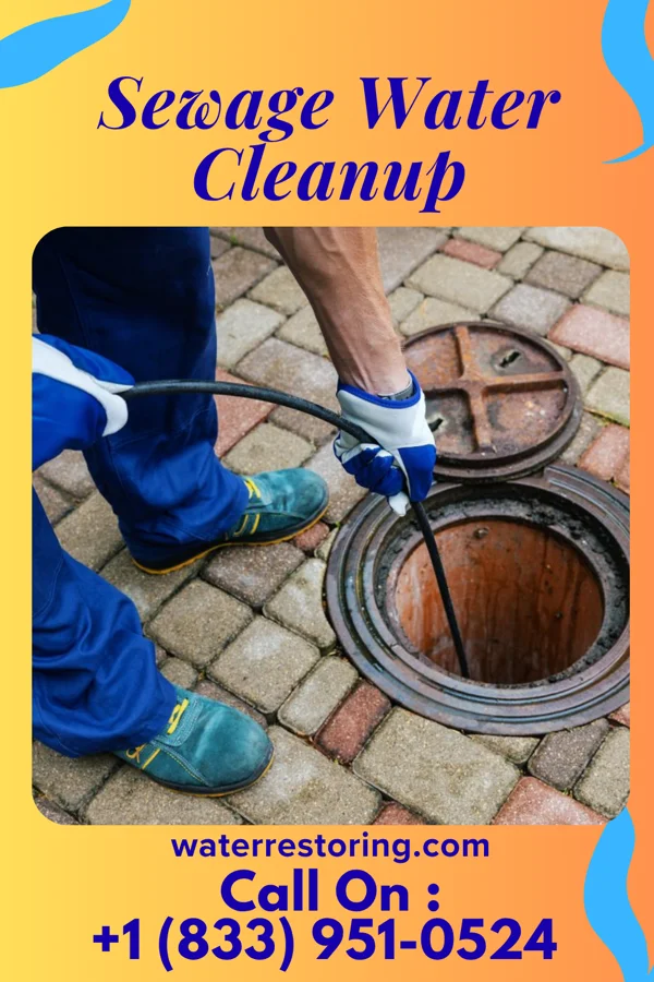 Sewage Water Cleanup in Beverly, OH